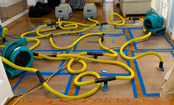 Professional Water Extraction technician working in Bock, MN